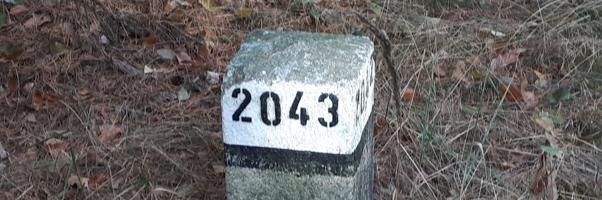 Abteilungs- oder auch Jagenstein, der früher als Grenzmarkierungen im Wald diente.