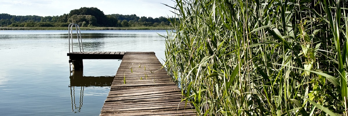 Badesee mit Steg und Schilf am rechten Rand