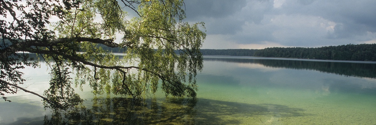 Blick auf den Stechlinsee