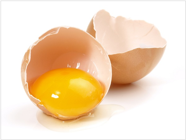 Eiergelb mit Schale Eigelb mit Schale