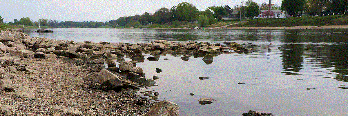 Blick auf die Elbe bei Niedrigwasser