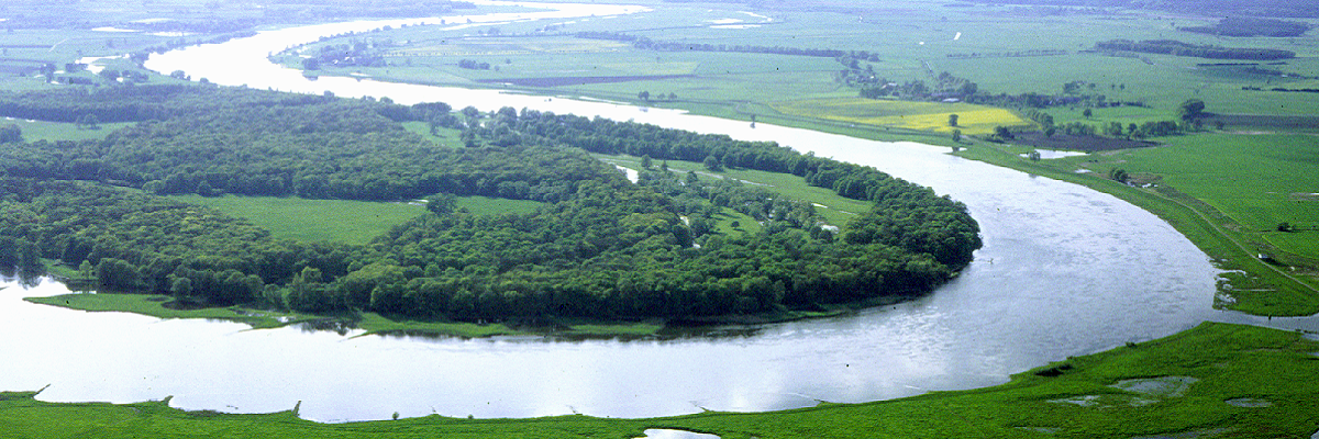 Luftaufnahme vom Flusslauf der Elbe im Biosphärenreservat Flusslandschaft Elbe-Brandenburg