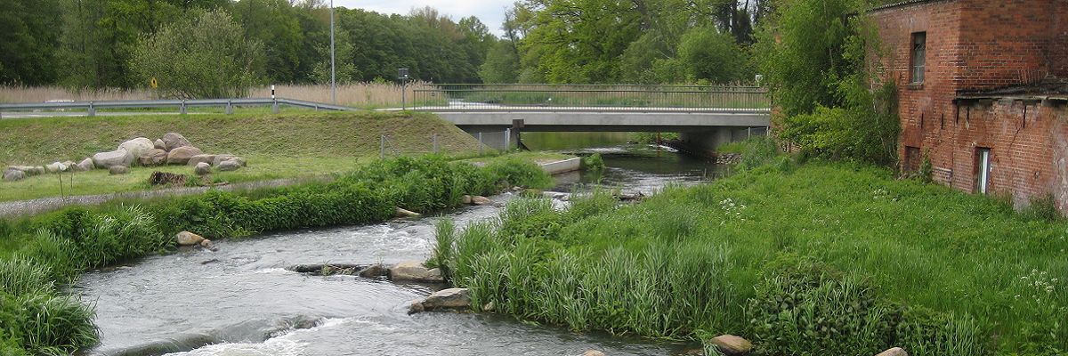 Fischrampe Manschnow