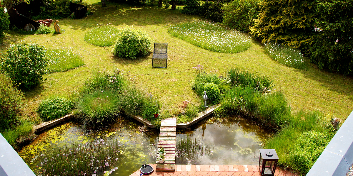 Garten mit Teichlandschaft und zum Teil naturbelassen