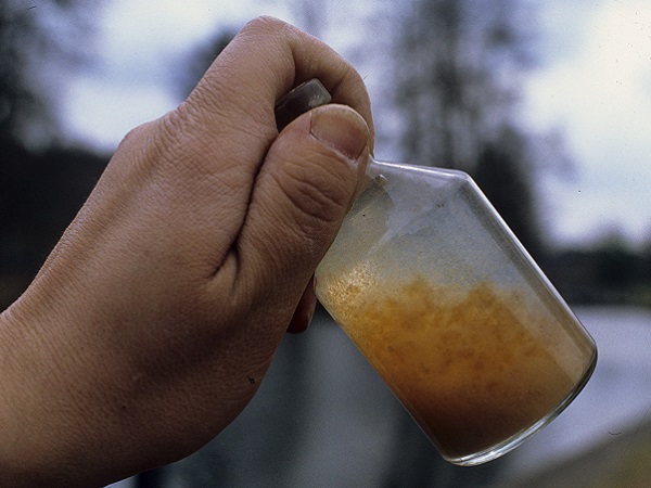 Eine Gewässerprobenflasche wird nach der Probenahme in die Höhe gehalten