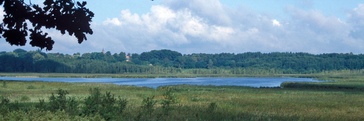 Naturpark Niederlausitzer Heidelandschaft Tagebau Klein Leipisch