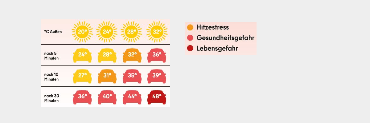 Übersicht Hitze Infografik die die Auswirkung von steigender Außentemperatur auf die Innentemperatur im Auto aufzeigt.