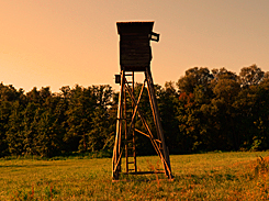 Hochstand bei Sonnenaufgang