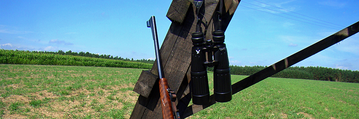 Jagdwaffe und Fernglas am Hochstand