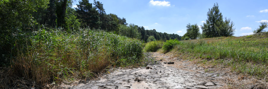 Ausgetrocknetes Flussbett der Schwarzen Elster. 