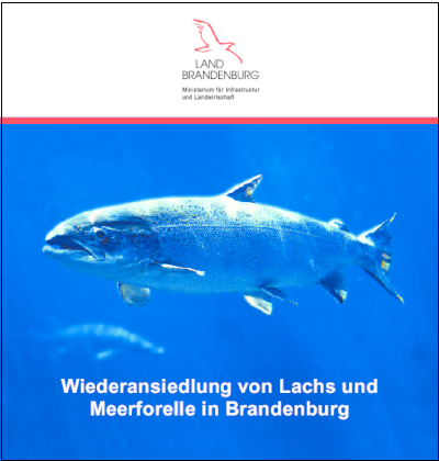 Bild vergrößern (Bild: Titelblatt Lachs_Meerforelle_web)