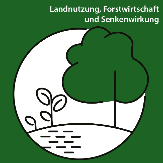 Klimaplan Icon Handlungsfeld 7 Stilisiertes Icon für das Handlungsfeld 7 Landnutzung, Forstwirtschaft und Senkenwirkung, drei Bäume in unterschiedlichen Wachstumphasen.