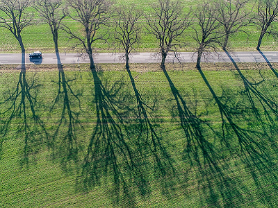 09.04.2018, Brandenburg, Sieversdorf: Alleebäume an einer Landstraße werfen in der Morgensonne lange Schatten auf ein Feld (Luftaufnahme mit einer Drohne)