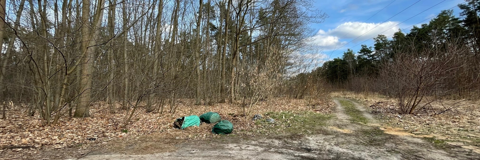 Volle Müllsäckeliegen in der Landschaft.