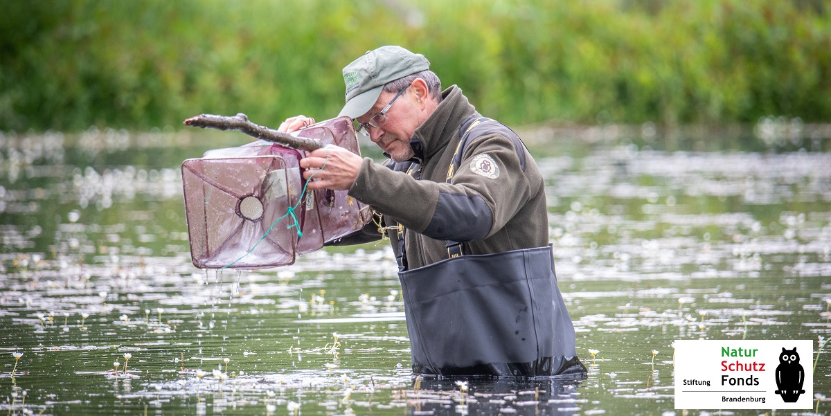 Bild: Naturwachtmitarbeiter untersucht Gewässer 