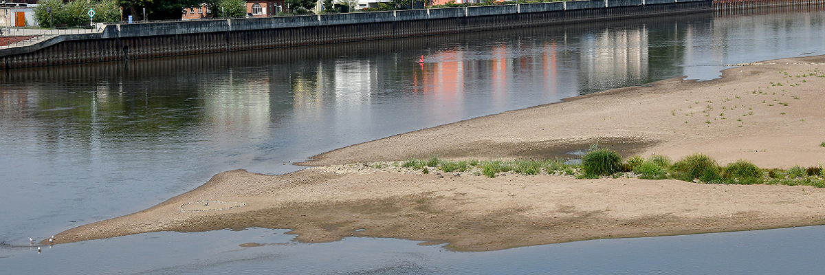 Sommer 2018: Niedrigwasser in der Oder bei Frankfurt (Oder) 