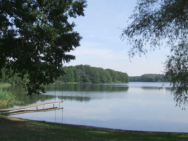 Blick auf die Badestelle Fergitz am Oberuckersee