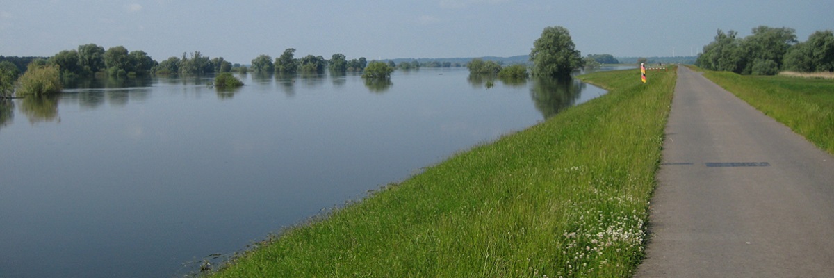 Oderdeich bei Zollbrücke - Aufnahme vom Hochwasser 2010