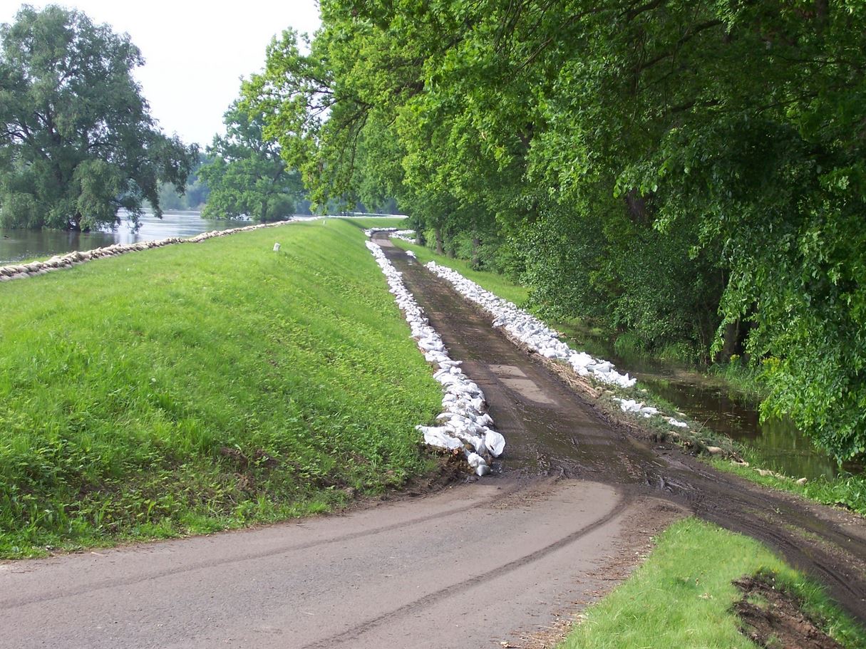 Oderhochwasser 2010 - Deichabschnitt