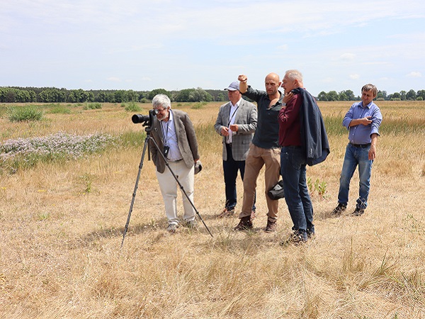 Die Delegationsteilnehmer besichtigen die 'Inseln des Lebens' des Brutvogelprojekts.