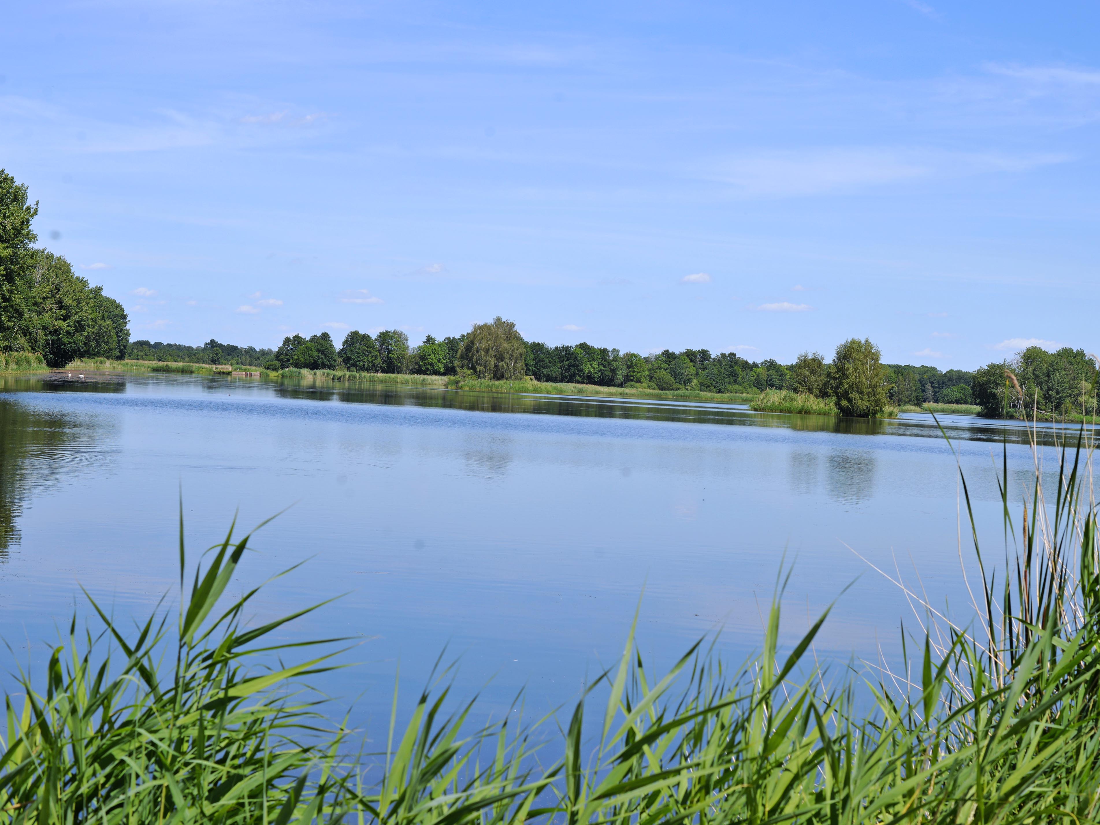 Peitzer Teich zur Fischzucht