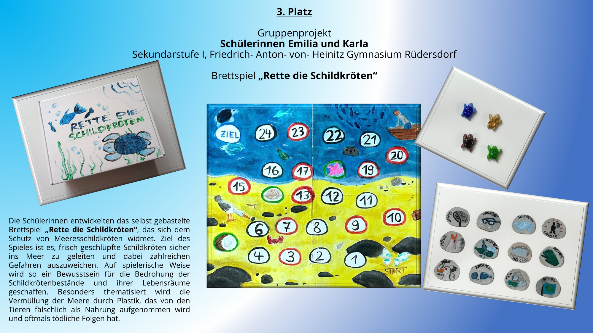 Rette die Schildkröten | Poster Platz 3 Tierschutzwettbewerb 2024/2025 