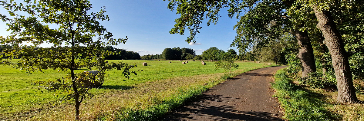 Radweg zwischen Wildpark und Potsdam: Blick auf eine Wiese mit Strohballen