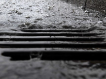 Regenwasser läuft in einen Gulli.