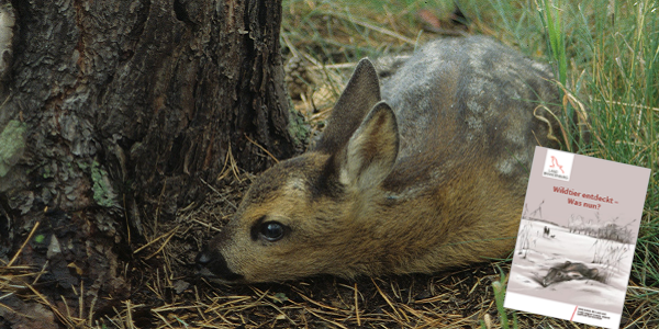 Bild: © Rehkitz: Thomas Kläber | Titel Wildtierfibel: Anke Dziewulski/gra-fisch.com 
