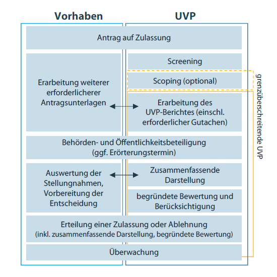 Schematische Darstellung des Verfahrensablaufs einer Umweltverträglichkeitsprüfung.