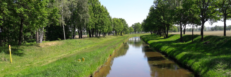 Blick auf den Fluss Schwarze Elster.