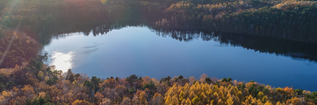 Blick über einen bunt gefärbten Mischwald am Ufer des Trepliner Sees.