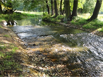 Stützschwelle mit Niedrigwasser im Nordfließ