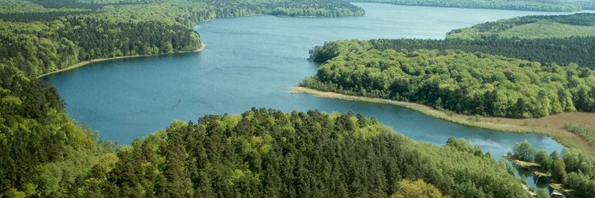 Luftbild: Blick auf den Stechlinsee