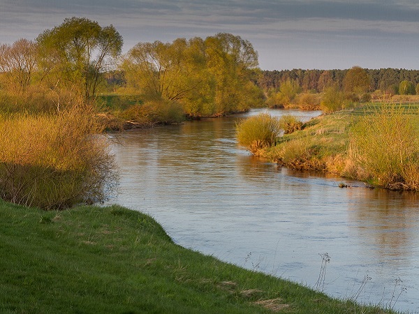 Blick auf die Auenlandschaft der Lausitzer Neiße