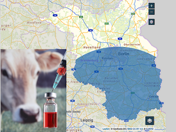 Collage Foto Tierseuchenimpfung und Karte Restiktionsgebiet in Brandenburg
