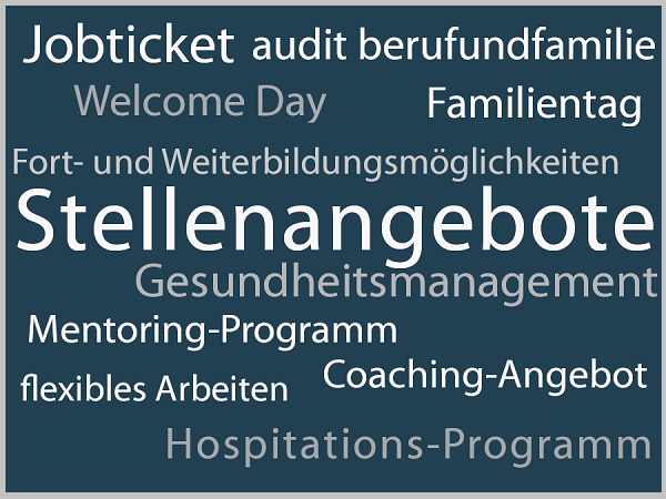 Wortwolke mit den Begriffen: audit berufundfamilie, Coaching-Angebot, flexibles Arbeiten, Gesundheitsmanagement, Stellenangebote, Mentoring-Programm, Jobticket, Welcome Day, Familientag, Fort- und Weiterbildungsmöglichkeiten, Hospitationsprogramm