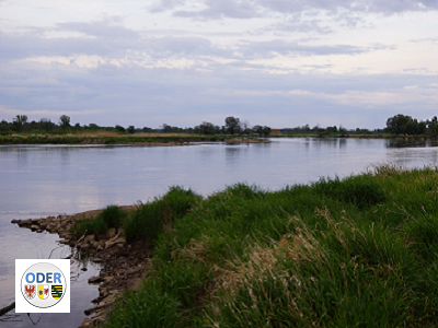 Mündung der Lausitzer Neiße + Logo der KFGE Oder in der linken unteren Seite