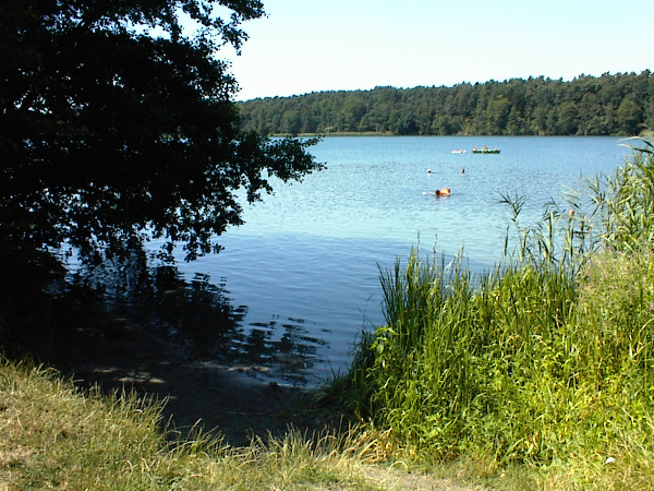 die Badestelle am Straussee an einem sonnigen Tag.