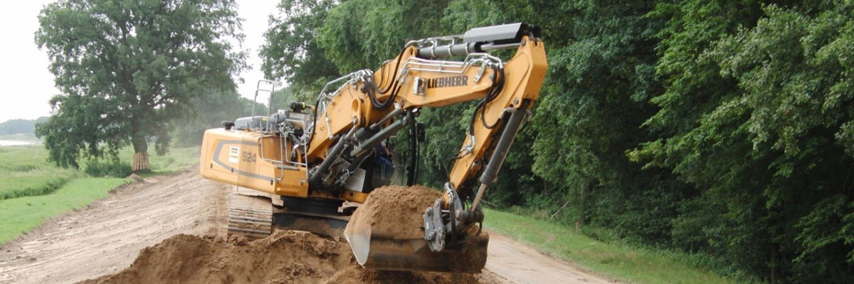 Bagger im Einsatz beim Altdeichrückbau in der Neuzeller Niederung. 