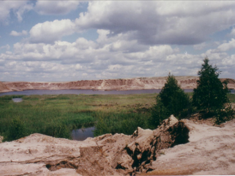 Naturpark Niederlausitzer Heidelandschaft im Tagebau Klein Leipisch.