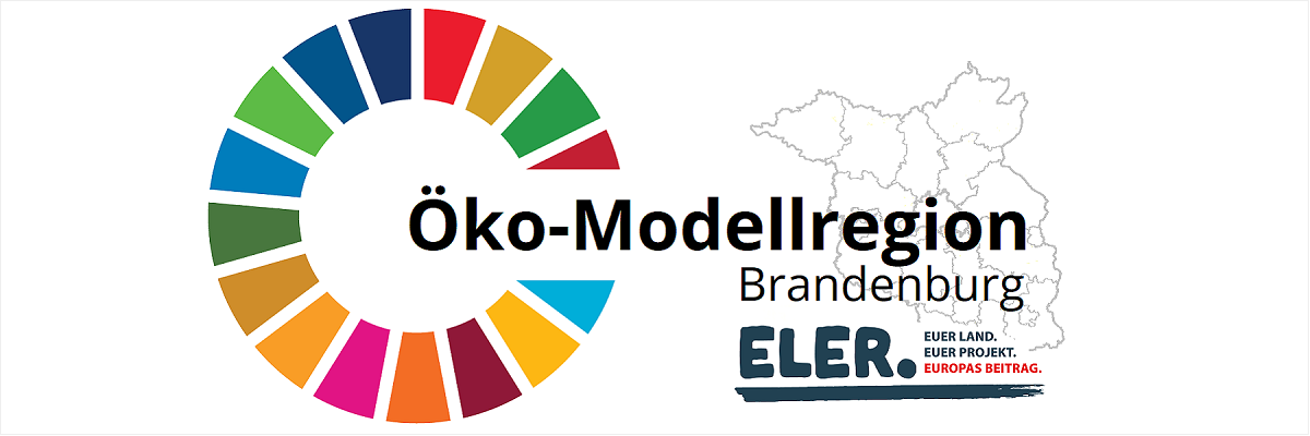 Ökoaktionsplan Modellregionen - Logo 1200x400
