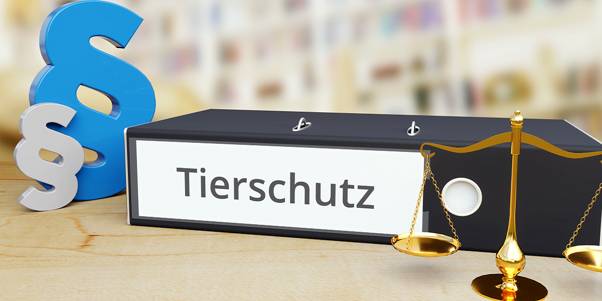 Bild: Tierschutz – Recht/Gesetz. Ordner auf Schreibtisch mit Beschriftung neben Paragraf und Waage. Anwalt