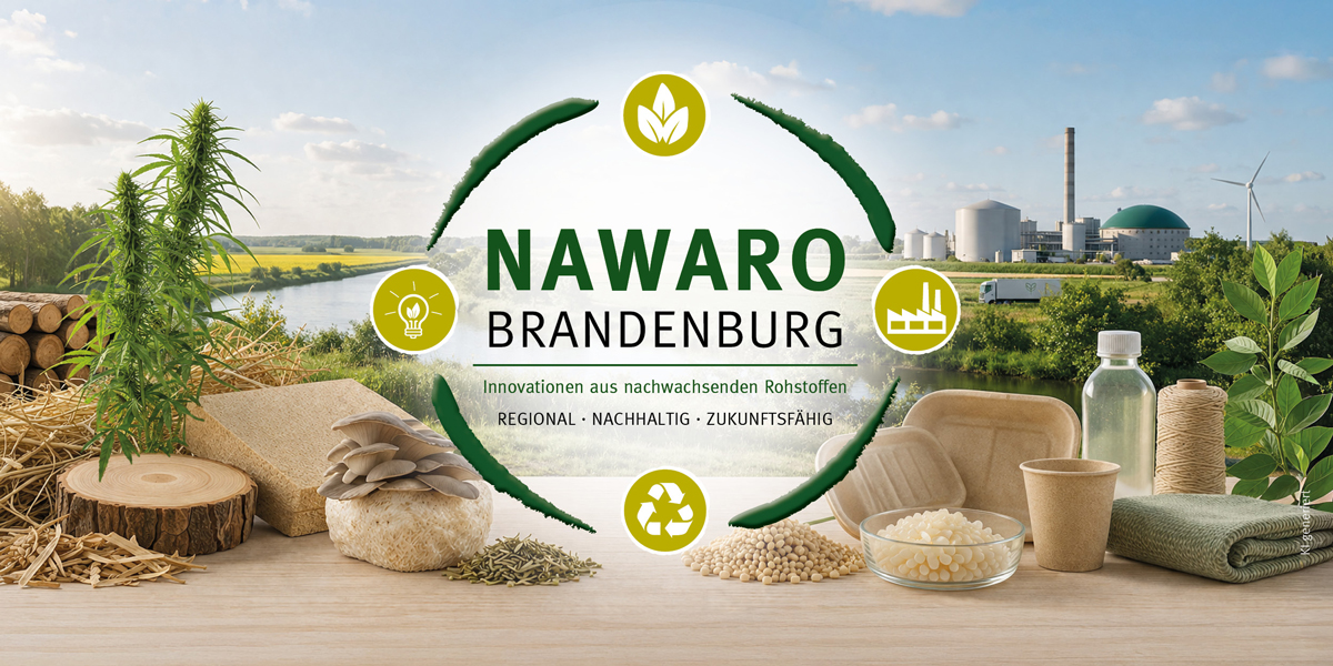Bild: NaWaRo-Wettbewerb Titelbild