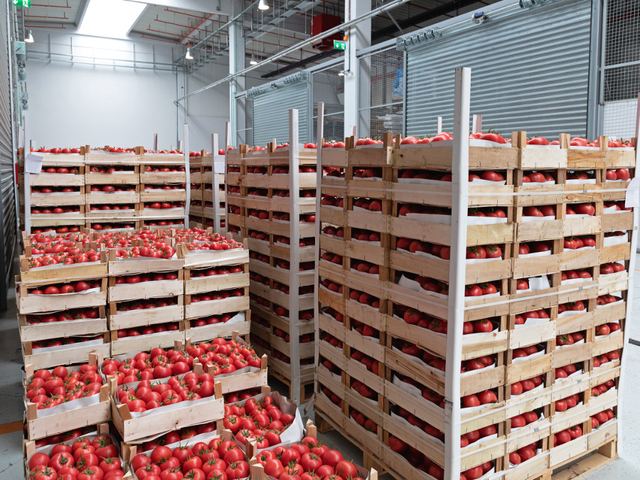 Unverpackte Tomaten in einem Warenlager.