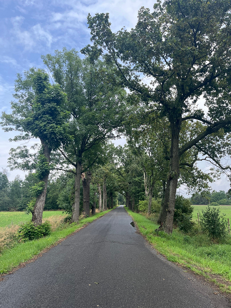 Blick in die Alle bei Sedlitz
