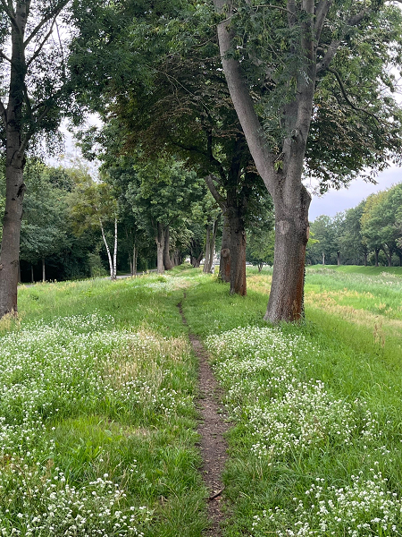 Entlang der Schwarzen Elster in Senftenberg