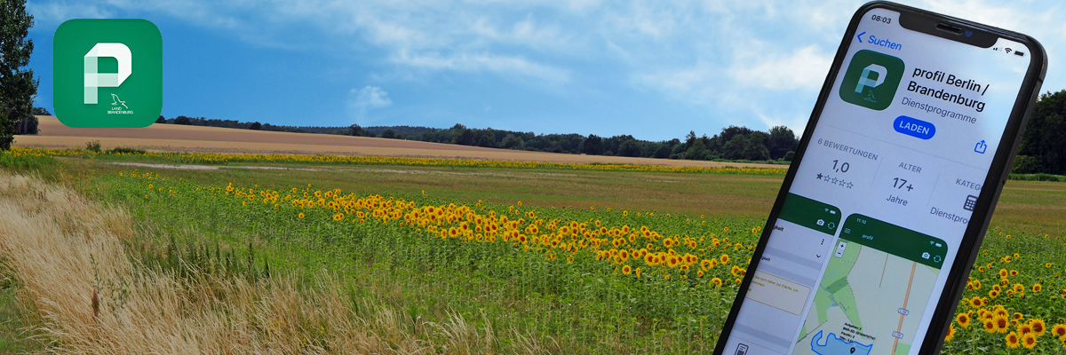 Profil-App mit Landschaft