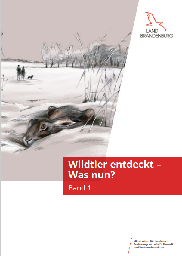 Bild vergrößern (Bild: Titelblatt Fibel Wildtier entdeckt – Was nun? Band I)