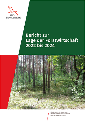 Bild vergrößern (Bild: Bericht zur Lage der Forstwirtschaft) Bild vergrößern (Bild: Bericht zur Lage der Forstwirtschaft)
